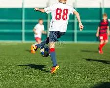 赵本山女儿,直播公开择,偶标准,米兰体育官网,MILAN,Sports,足球直播,篮球赛事,体育高清,NBA直播