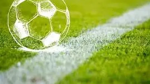 萨姆纳社交媒体官宣新赛季将加入广东队